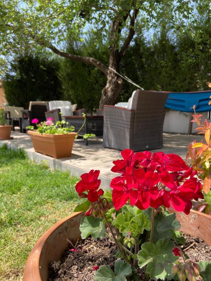 Safak Apart&Hotel Dalyan Kültér fotó